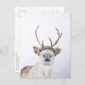 rendieren briefkaart (Voorkant / Achterkant)