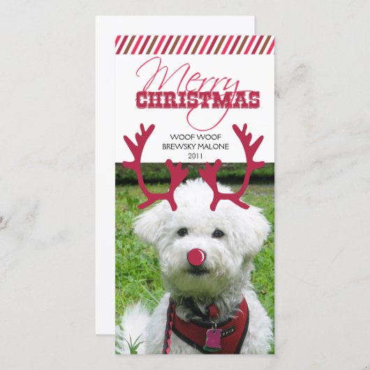 Rendieren gewei en rode neus huisdier kerst! feestdagenkaart (Voorkant / Achterkant)