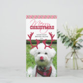 Rendieren gewei en rode neus huisdier kerst! feestdagenkaart (Staand voorkant)