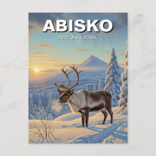 Rendieren in Abisko National Park Zweden Reizen Briefkaart