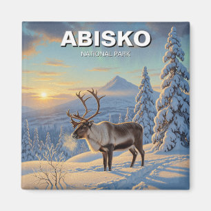 Rendieren in Abisko National Park Zweden Reizen Magneet
