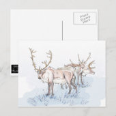 rendieren in het Briefkaart Sneeuwafdrukken (Voorkant / Achterkant)