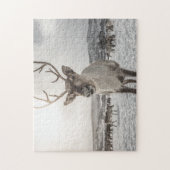 rendieren legpuzzel (Verticaal)