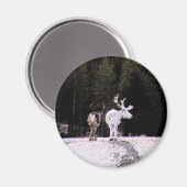 rendieren magneet (Voorkant / Achterkant)