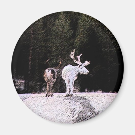 rendieren magneet (Voorkant)