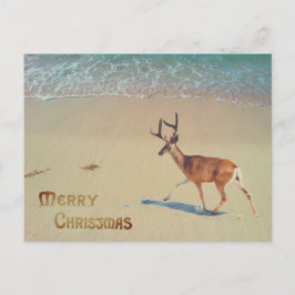 Rendieren op het strand surreale Prettig kerstfees Briefkaart