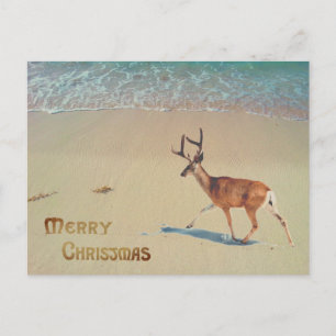 Rendieren op het strand surreale Prettig kerstfees Briefkaart