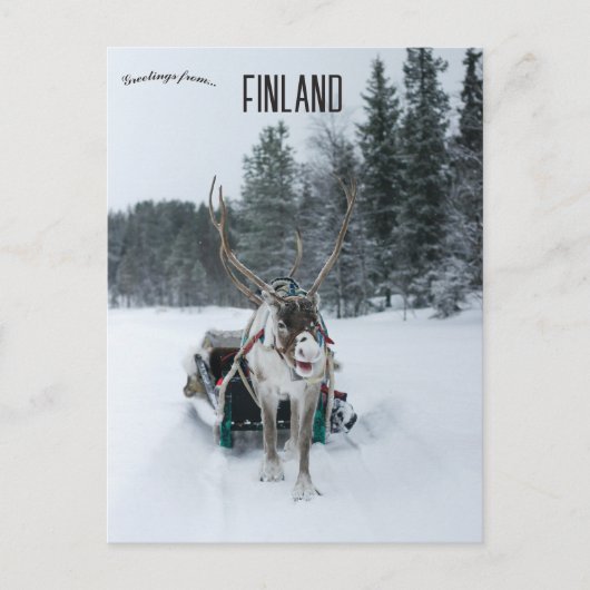 rendierenkast Kittilä Lapland Finland Briefkaart (Voorkant)