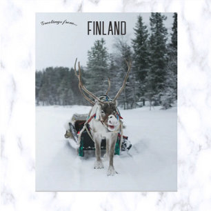 rendierenkast Kittilä Lapland Finland Briefkaart