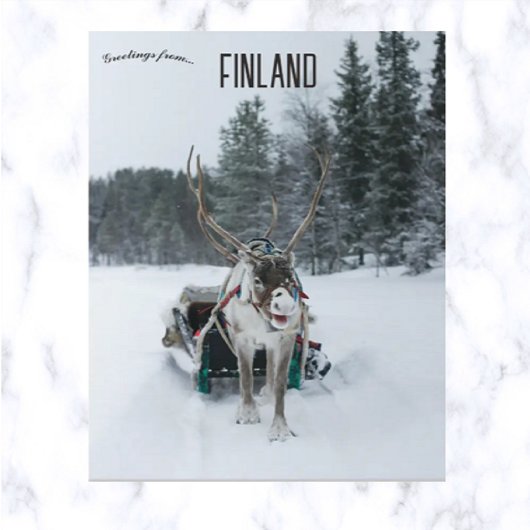 rendierenkast Kittilä Lapland Finland Briefkaart