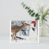 rendieretseer briefkaart (Staand voorkant)