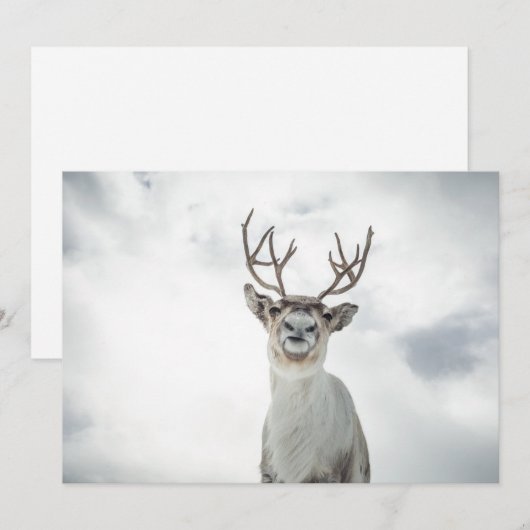 rendierfotokaart (Voorkant / Achterkant)