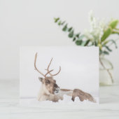 rendierfotokaart voor Natuur (Staand voorkant)