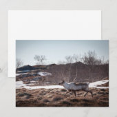 rendierfotokaart voor Natuur (Voorkant / Achterkant)