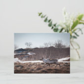 rendierfotokaart voor Natuur (Staand voorkant)