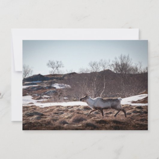 rendierfotokaart voor Natuur (Voorkant)