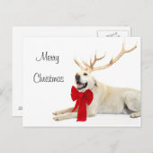 Rendiergeel lab feestdagenkaart (Voorkant / Achterkant)