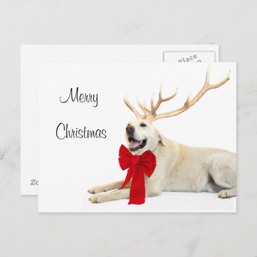 Rendiergeel lab feestdagenkaart (Voorkant / Achterkant)