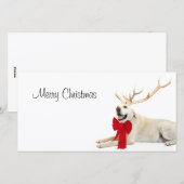 Rendiergeel lab feestdagenkaart (Voorkant / Achterkant)