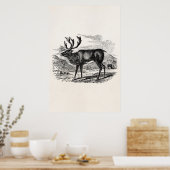  rendiergepersonaliseerde deer-illustratie poster (Keuken)