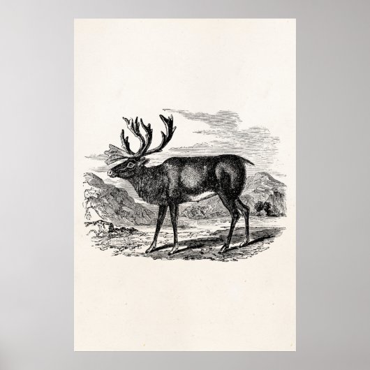  rendiergepersonaliseerde deer-illustratie poster (Voorkant)