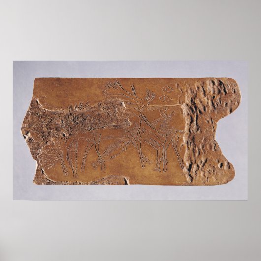 rendierhoorn gekaard met herten en luipend poster (Voorkant)