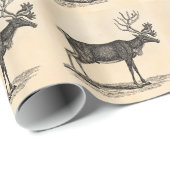  rendierillustratie - Kerstmis van 1800 Cadeaupapier (Rol Hoek)