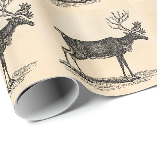  rendierillustratie - Kerstmis van 1800 Cadeaupapier (Rol Hoek)