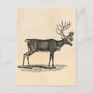  rendierillustratie - Kerstmis van 1800 Feestdagenkaart