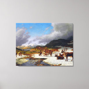 Rendierkudde in de Bergen ten Noorden van Røros Canvas Afdruk