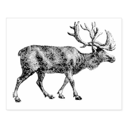  rendierkunststempel rubberstempel (Afrduk)