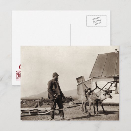 rendierlijk Briefkaart (Voorkant / Achterkant)