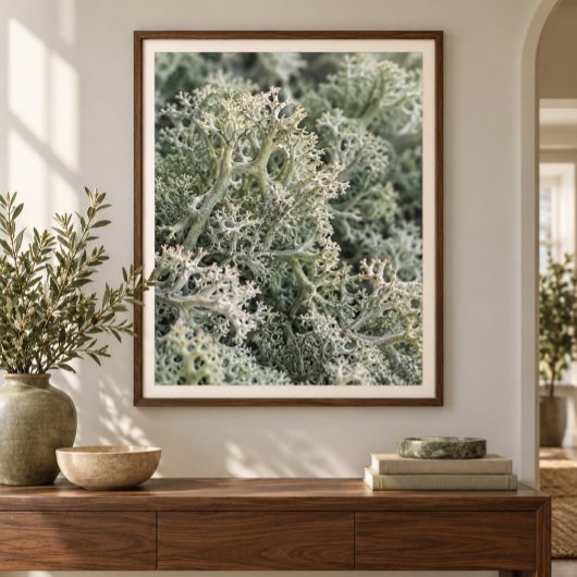 Rendiermos Nabij Studie Kunstprint Poster