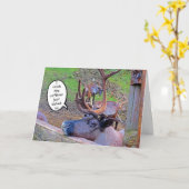 rendierschotel met kaart (Gele Bloem)