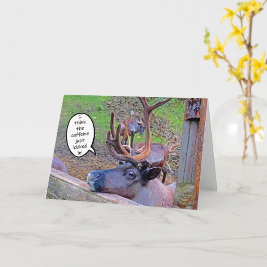 rendierschotel met kaart (Gele Bloem)