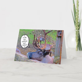 rendierschotel met kaart