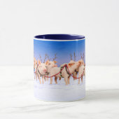 rendiervarkens mok (Midden)