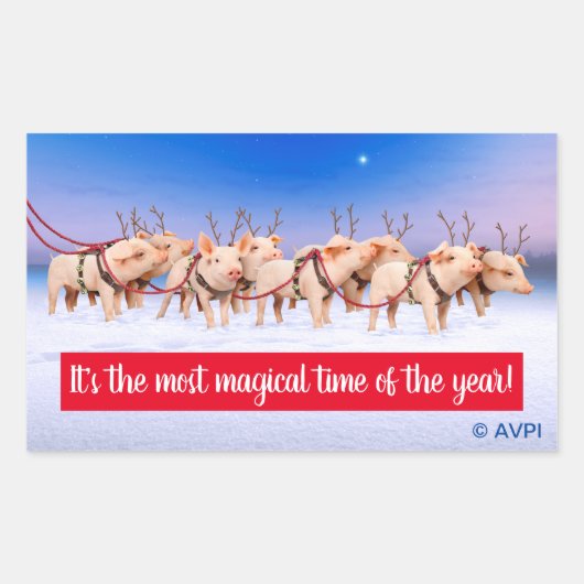 rendiervarkens rechthoekige sticker (Voorkant)