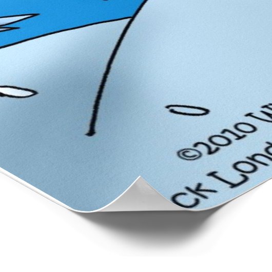 Rene Descartes Snowflake Funny Posters (Hoek)