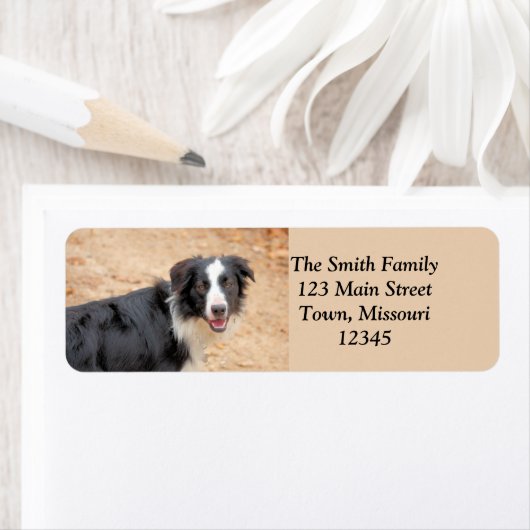 Rene Etiket (Insitu)