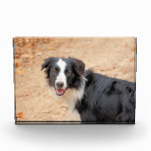 Rene Fotoblokken (Voorkant)