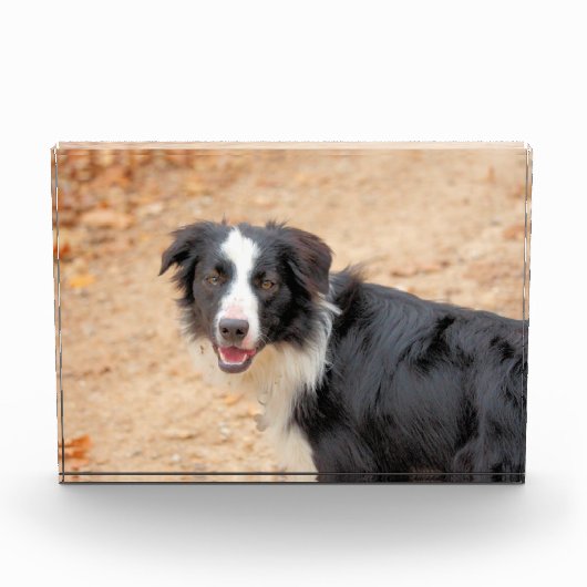 Rene Fotoblokken (Voorkant)