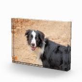 Rene Fotoblokken (Rechts)