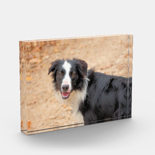 Rene Fotoblokken (Links)