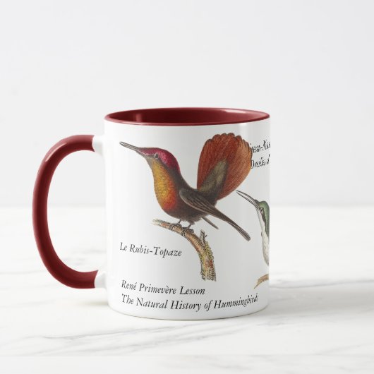 René Primevère Lesson - Drie  Hummingvogels Mok (Links)