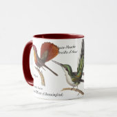 René Primevère Lesson - Drie  Hummingvogels Mok (Voorkant links)