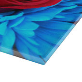 Renilde Snijplank (Hoek)