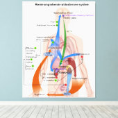 Renine-angiotensinesysteemkaart Menselijk Lichaams Canvas Afdruk (Insitu (Houten vloer))