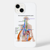 Renine-angiotensinesysteemkaart Menselijk Lichaams Case-Mate iPhone Case (Achterkant)