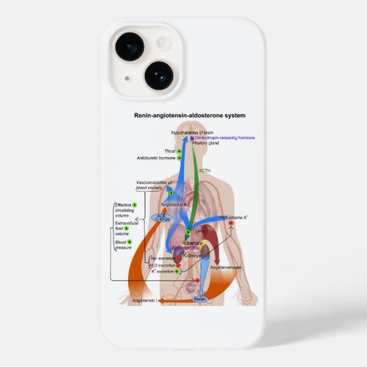 Renine-angiotensinesysteemkaart Menselijk Lichaams Case-Mate iPhone Case (Achterkant)